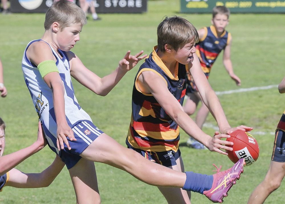 YPFL JUNIOR COLTS ELIMINATION FINAL - Fast starting Crows conquer Roos post image