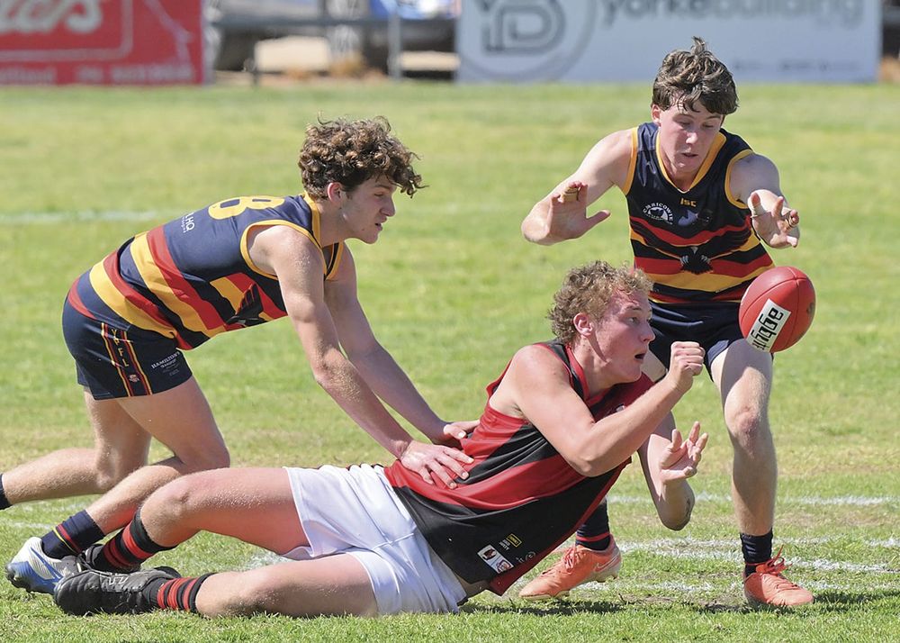 YPFL senior colts: Bloods overcome Crows to reach decider post image