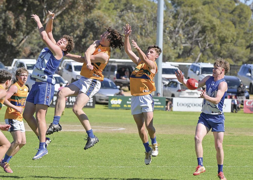 YPFL SENIOR COLTS ELIMINATION FINAL - Colts do the Roos proud against Eagles post image