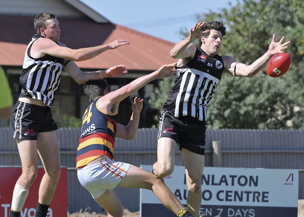 YPFL A grade: CMS Crows survive Magpies’ late charge post image