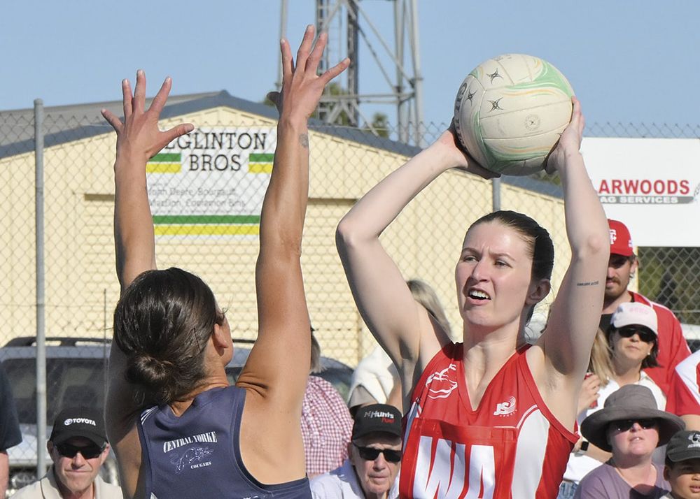 Netball: Yorke Peninsula scores and reports post image