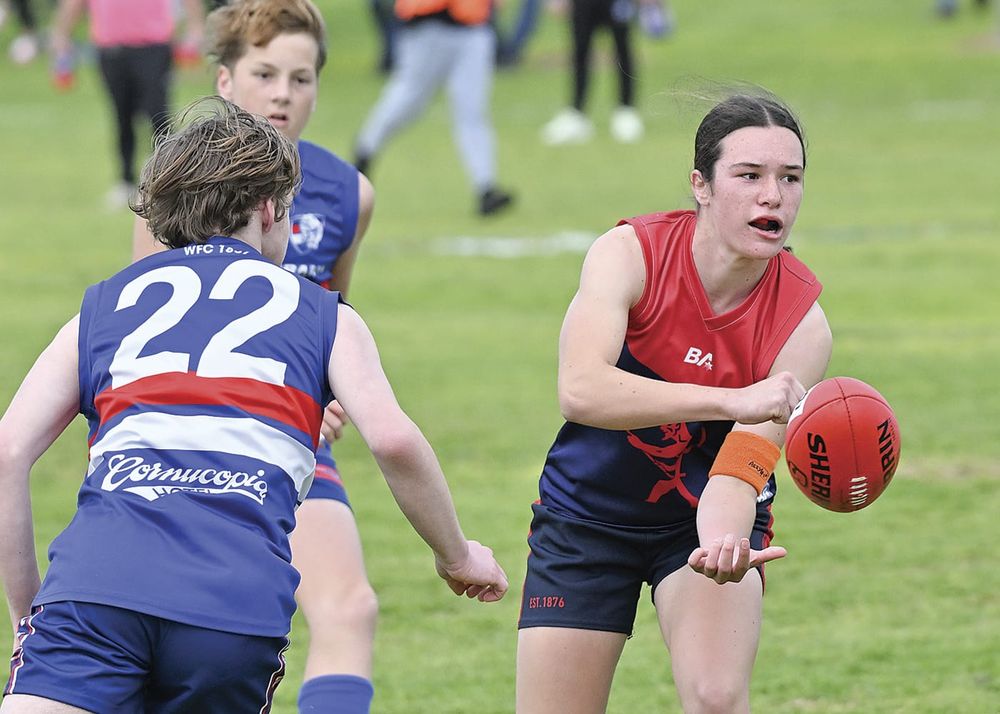 YPFL junior colts second semifinal: Demons continue unbeaten run post image