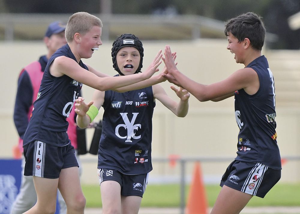 YPFL junior colts first semifinal: Cougars surge home against Crows post image