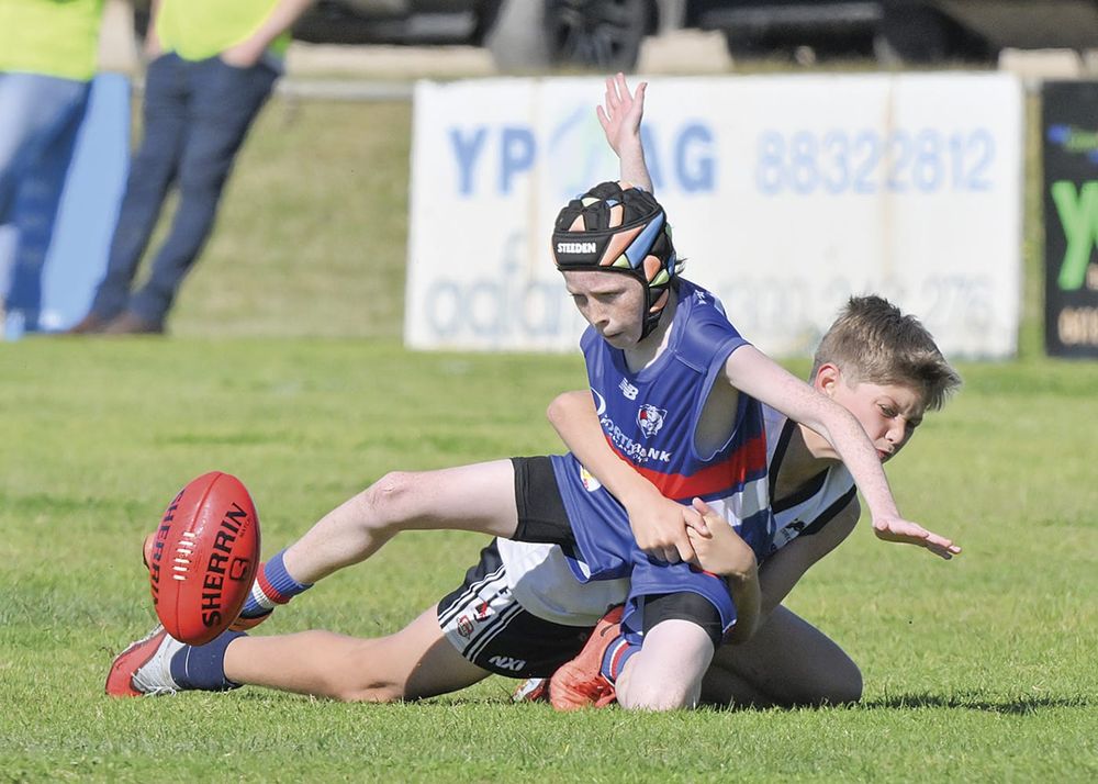YPFL JUNIOR COLTS QUALIFYING FINAL - Bulldogs through to the next round post image