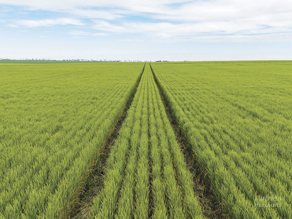 Highly regarded and tightly held Yorke Valley farming district post image
