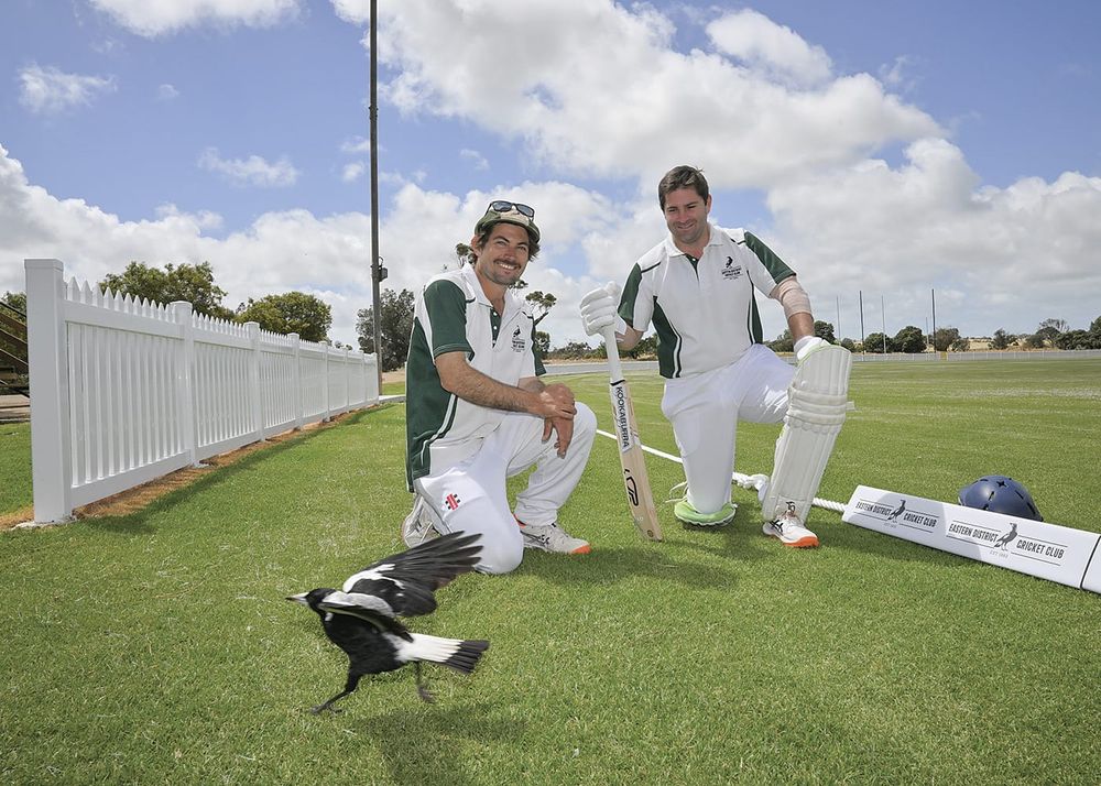 A grade cricket hits off for 2026-27 season post image