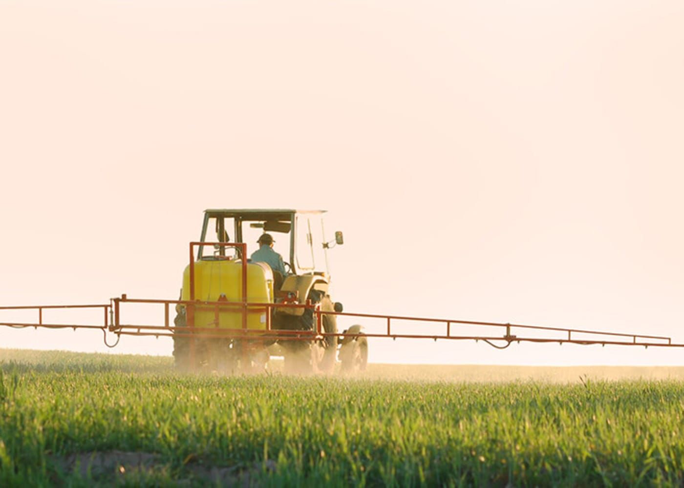 Grain report flags growth and risks post image