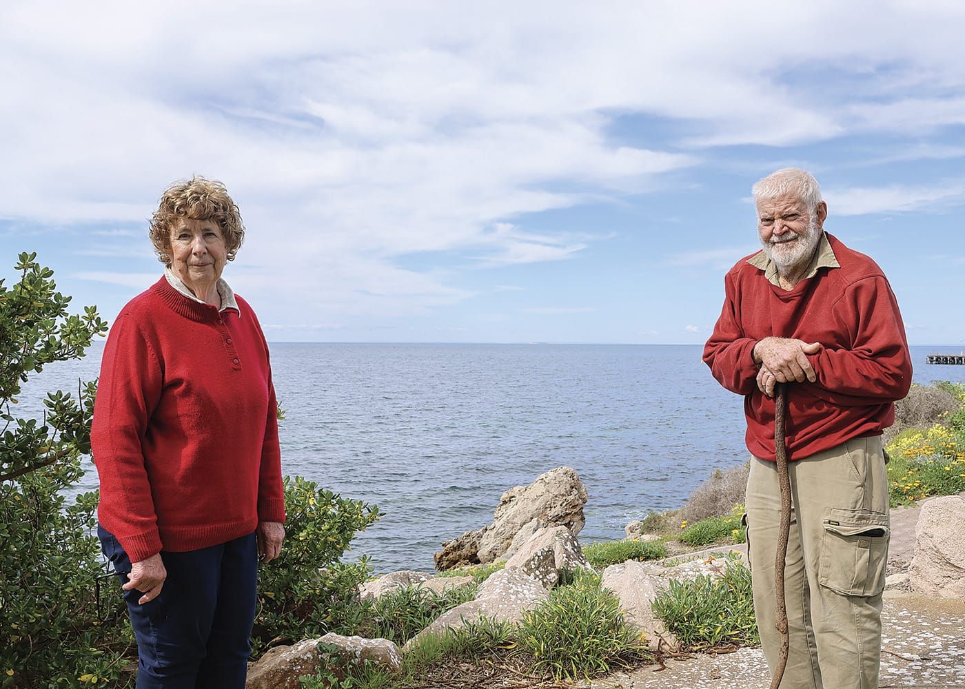 Local advocates urge action... Protect our penguins post image