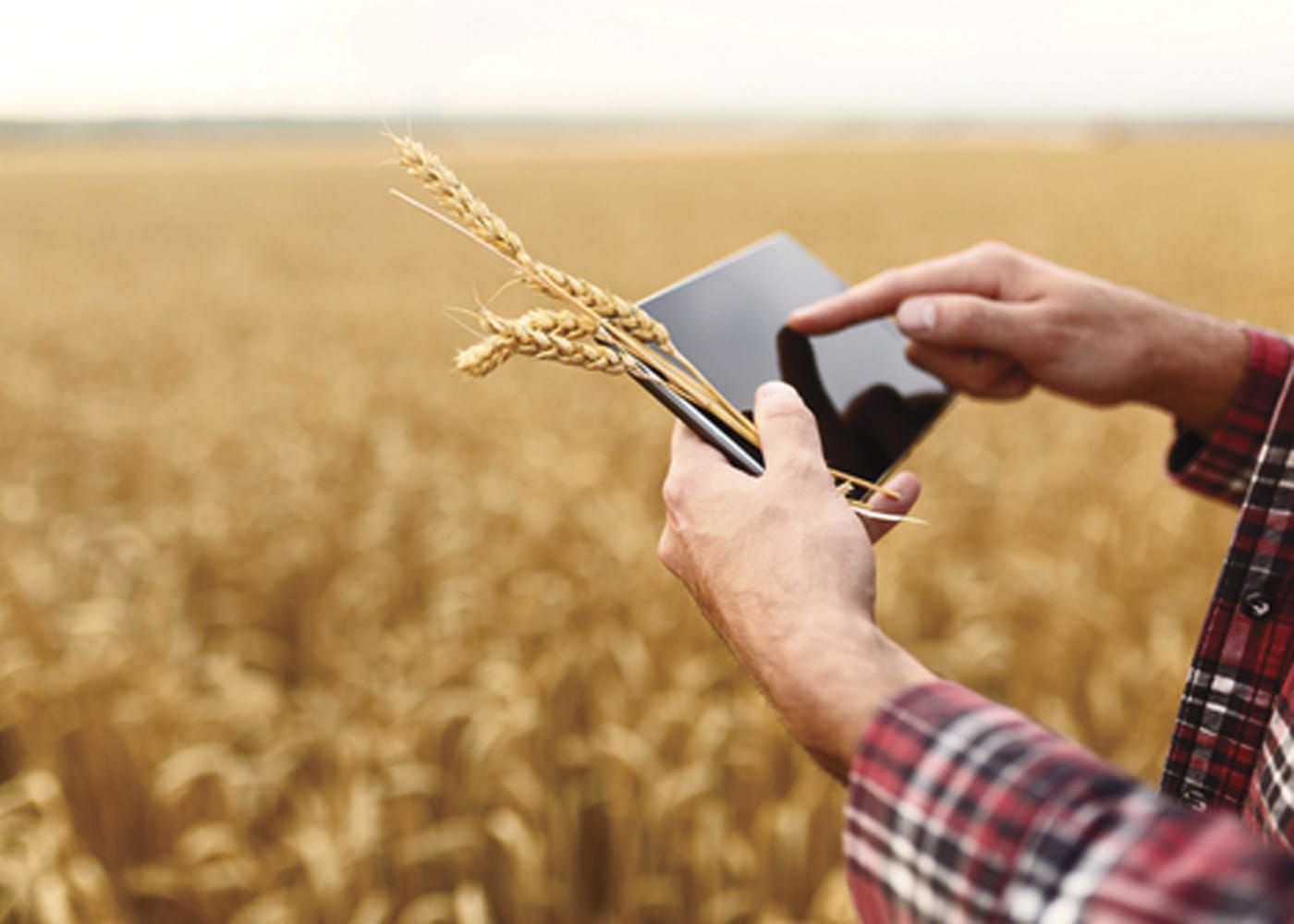 Growers urged to take care with spring spraying post image