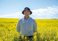 Fuel shift puts canola in the frame post image