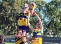 State selection boosts AFL hopes for local players post image