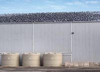Pigeon problem  grows in Wallaroo post image