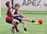 YPFL: Bloods too good for Cougars post image