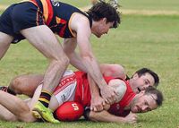 YPFL: Crows run over the Roosters post image