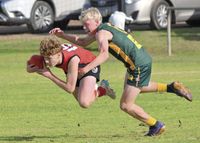 Future stars take centre stage in U15 carnival post image