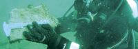 “The science is conclusive”: Inside the algal bloom crisis post image