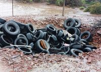 Tyre dumper fined nearly $7000 after heritage site offence post image