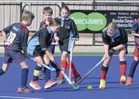 YP hockey scores post image
