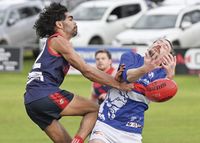 YPFL: Ferenci stars as Demons dominate Bulldogs post image
