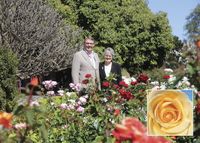 Help name SA Governor’s official rose post image