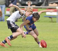 YPFL: Cougars win final match post image
