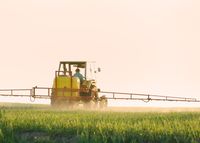 Grain report flags growth and risks post image