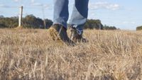 Spring outlook shows bushfire risk increases as El Niño loads the dice post image