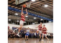 Harris’ hoops heroics post image