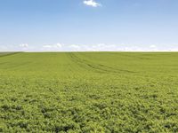 Outstanding opportunity to secure a parcel of quality cropping land post image