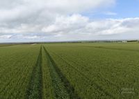 Outstanding opportunity to expand your farming enterprise post image