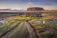 Local photography talent shines at SAPF Awards post image