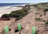 Shared path paves the way post image