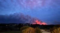 Prepare for grassfires post image