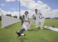 A grade cricket hits off for 2026-27 season post image