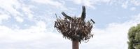Price unveils new centrepiece post image