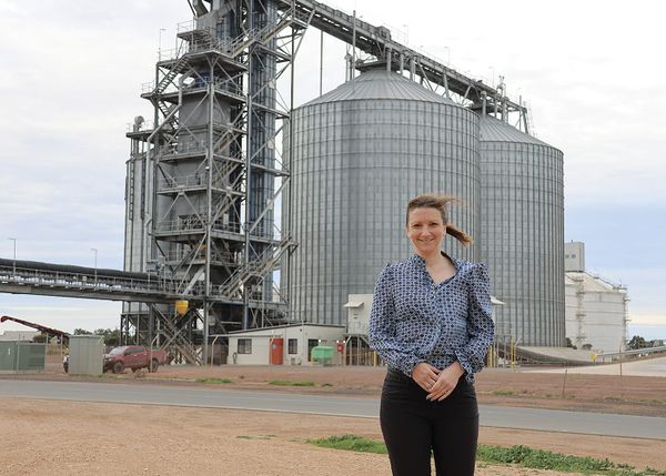 Questions remain over grain fumigation rule changes post image