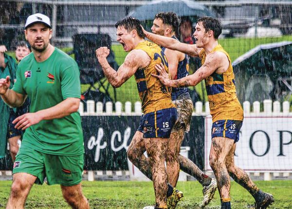 Hasting boots Eagles to finals post image
