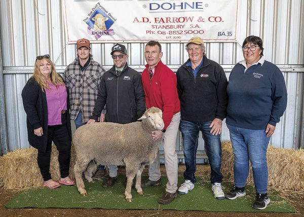 Strong result for Babirra ram sale post image