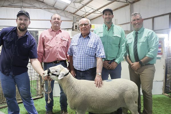 Anna Villa rams surge to $4000 post image