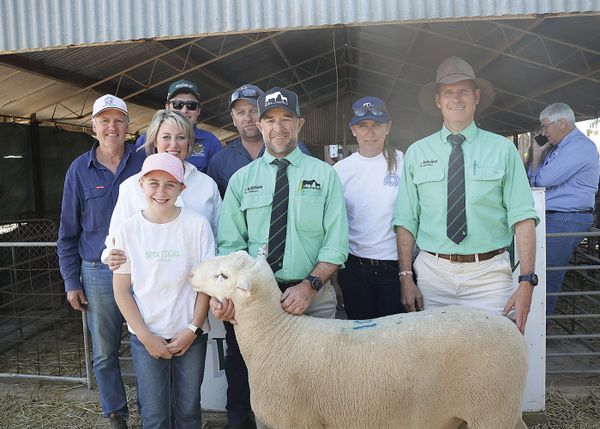 Quality brings buyers to Jandebrey post image