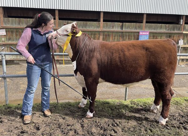 Ag student success at Royal Adelaide Show post image