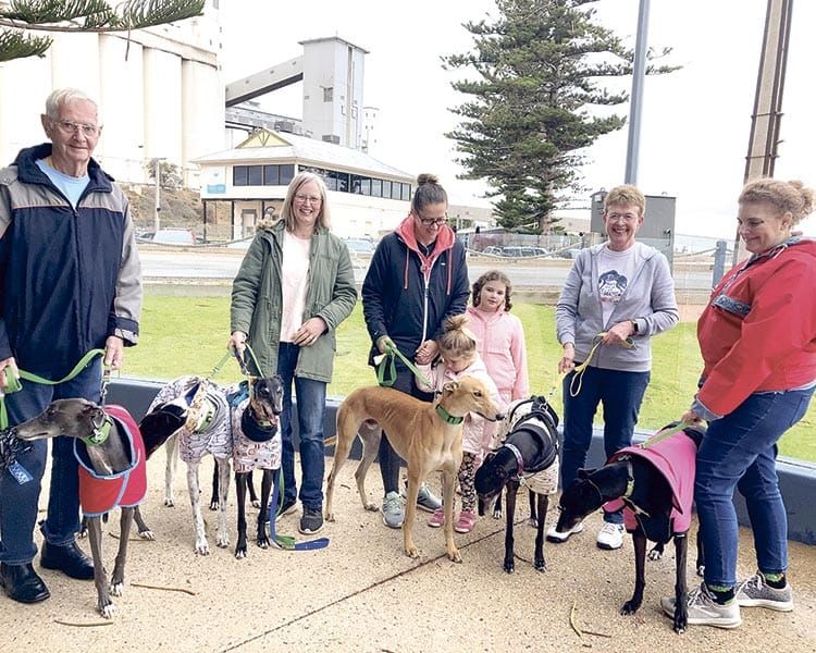 Friendship for Copper Coast greyhounds post image