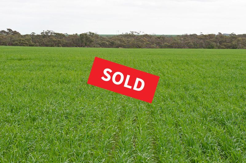 Auction draws another sale post image