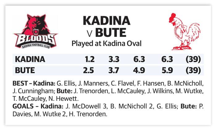 YPFL: Second draw for Bloods and Bute post image