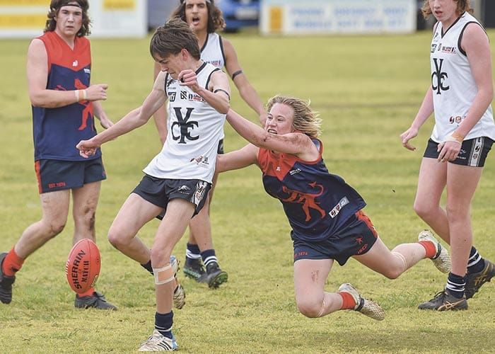 YPFL Senior Colts: Fast-starting Cougars make big dance post image