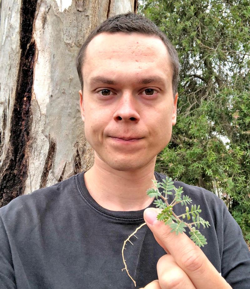 Don’t let caltrop hitch a free ride post image