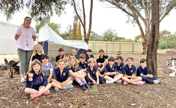 Unearthing insects at Wallaroo Mines post image