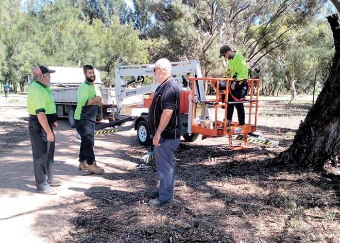 McCauley Park update post image