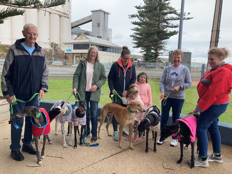 Friendship for Copper Coast greyhounds post image