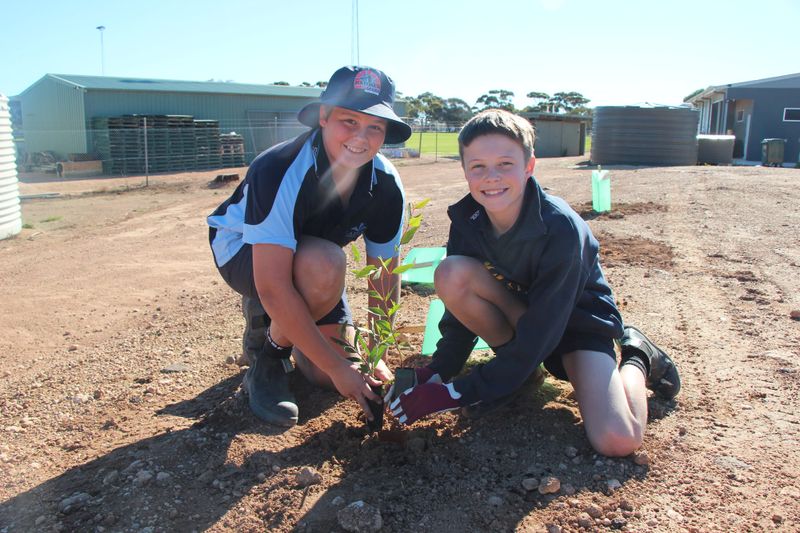 Green thumbs help KFC project grow post image